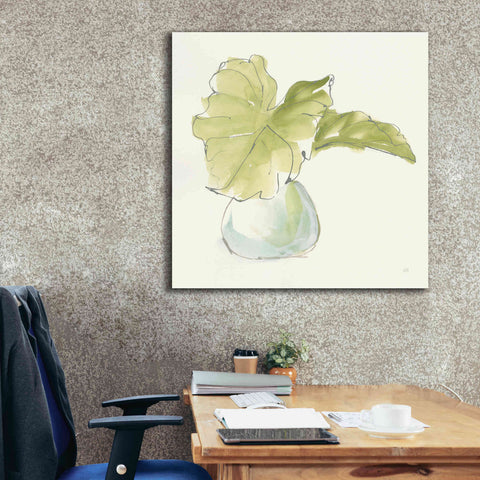 Image of 'Plant Big Leaf I' by Chris Paschke, Giclee Canvas Wall Art,37 x 37