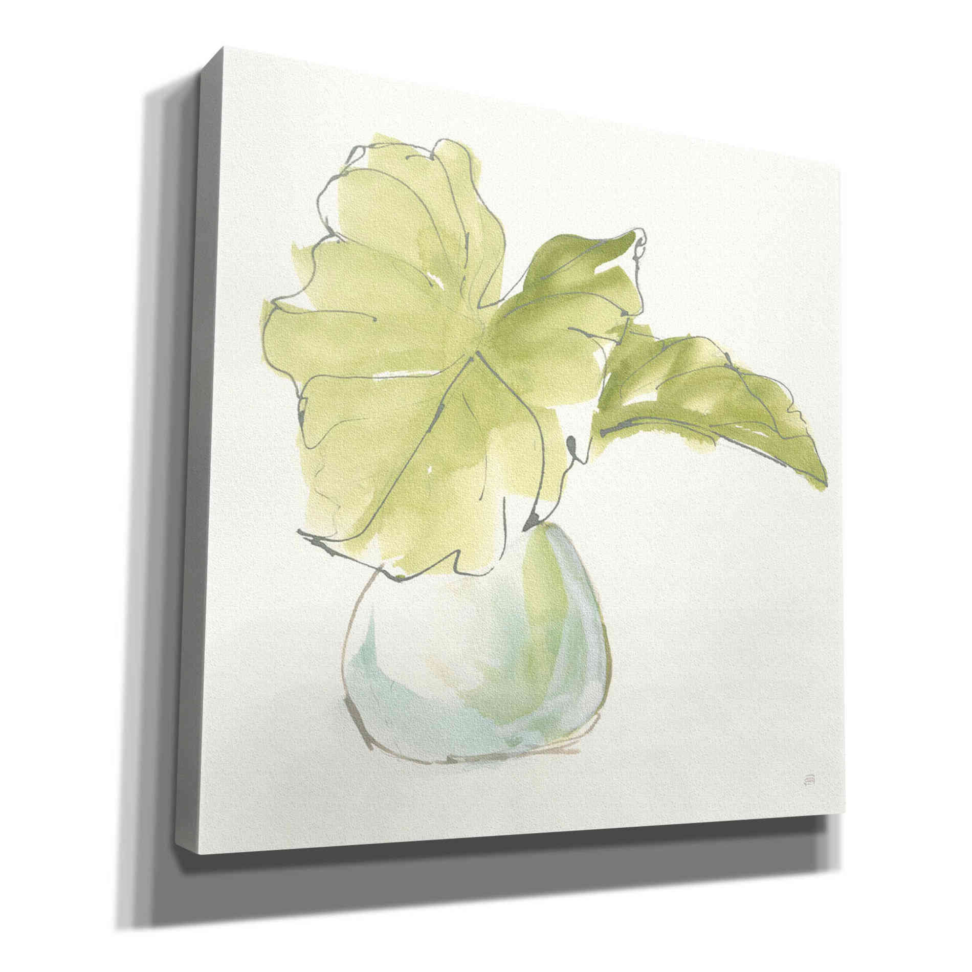 'Plant Big Leaf I' by Chris Paschke, Giclee Canvas Wall Art