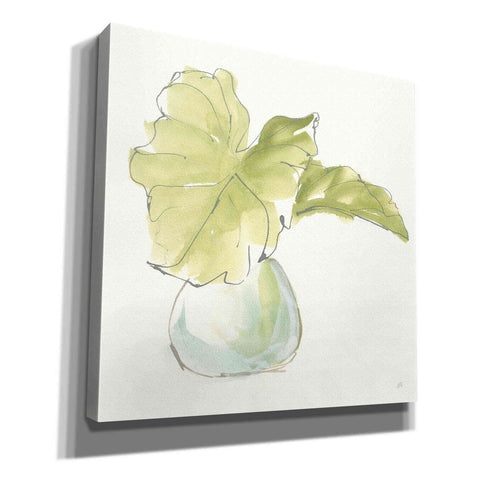 Image of 'Plant Big Leaf I' by Chris Paschke, Giclee Canvas Wall Art