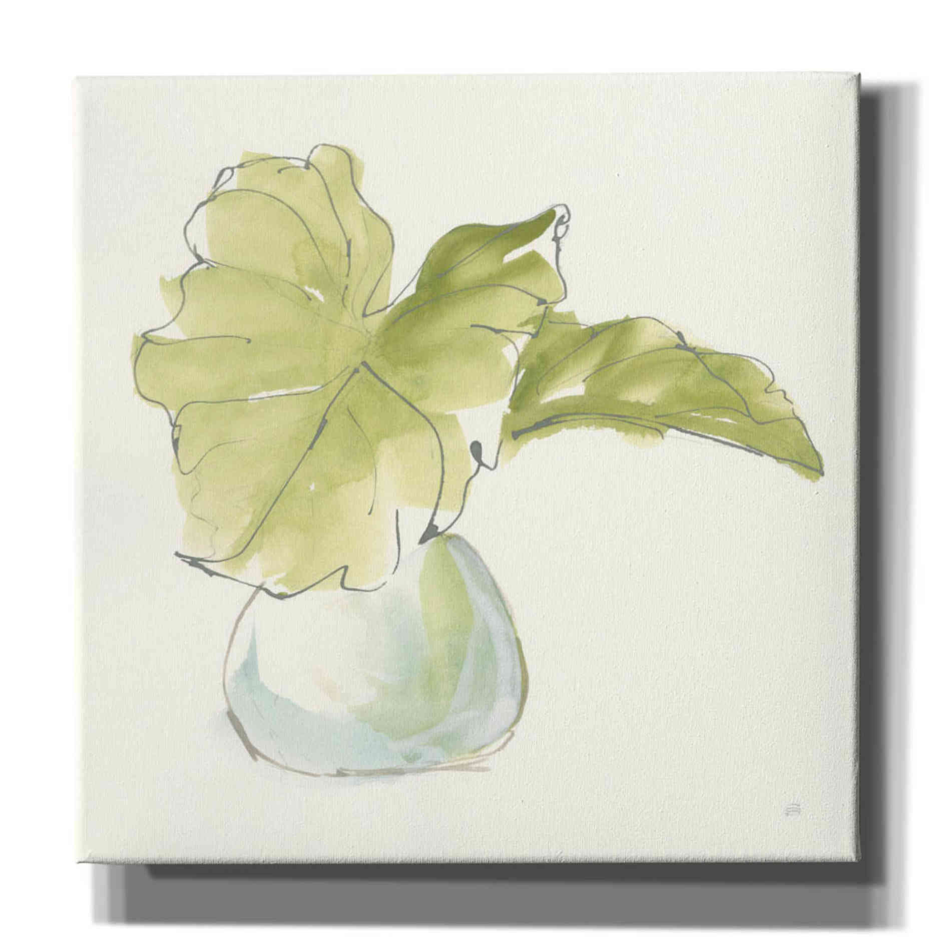 'Plant Big Leaf I' by Chris Paschke, Giclee Canvas Wall Art