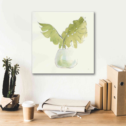 Image of 'Plant Big Leaf II' by Chris Paschke, Giclee Canvas Wall Art,18 x 18