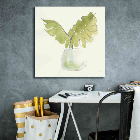 Image of 'Plant Big Leaf II' by Chris Paschke, Giclee Canvas Wall Art,26 x 26
