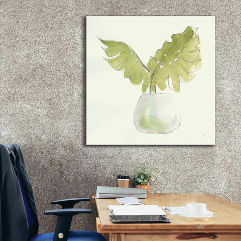 Image of 'Plant Big Leaf II' by Chris Paschke, Giclee Canvas Wall Art,37 x 37