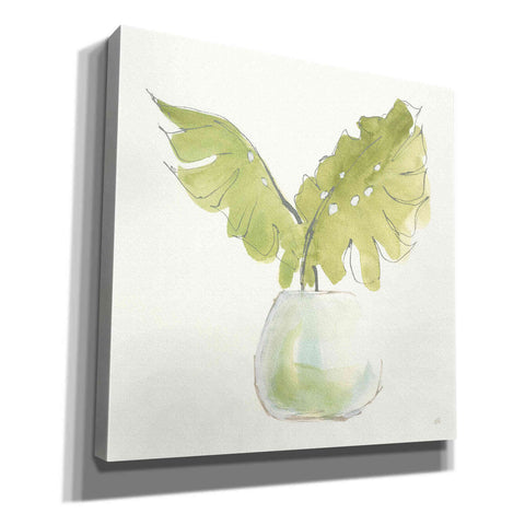 Image of 'Plant Big Leaf II' by Chris Paschke, Giclee Canvas Wall Art
