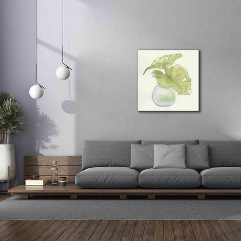 Image of 'Plant Big Leaf III' by Chris Paschke, Giclee Canvas Wall Art,37 x 37