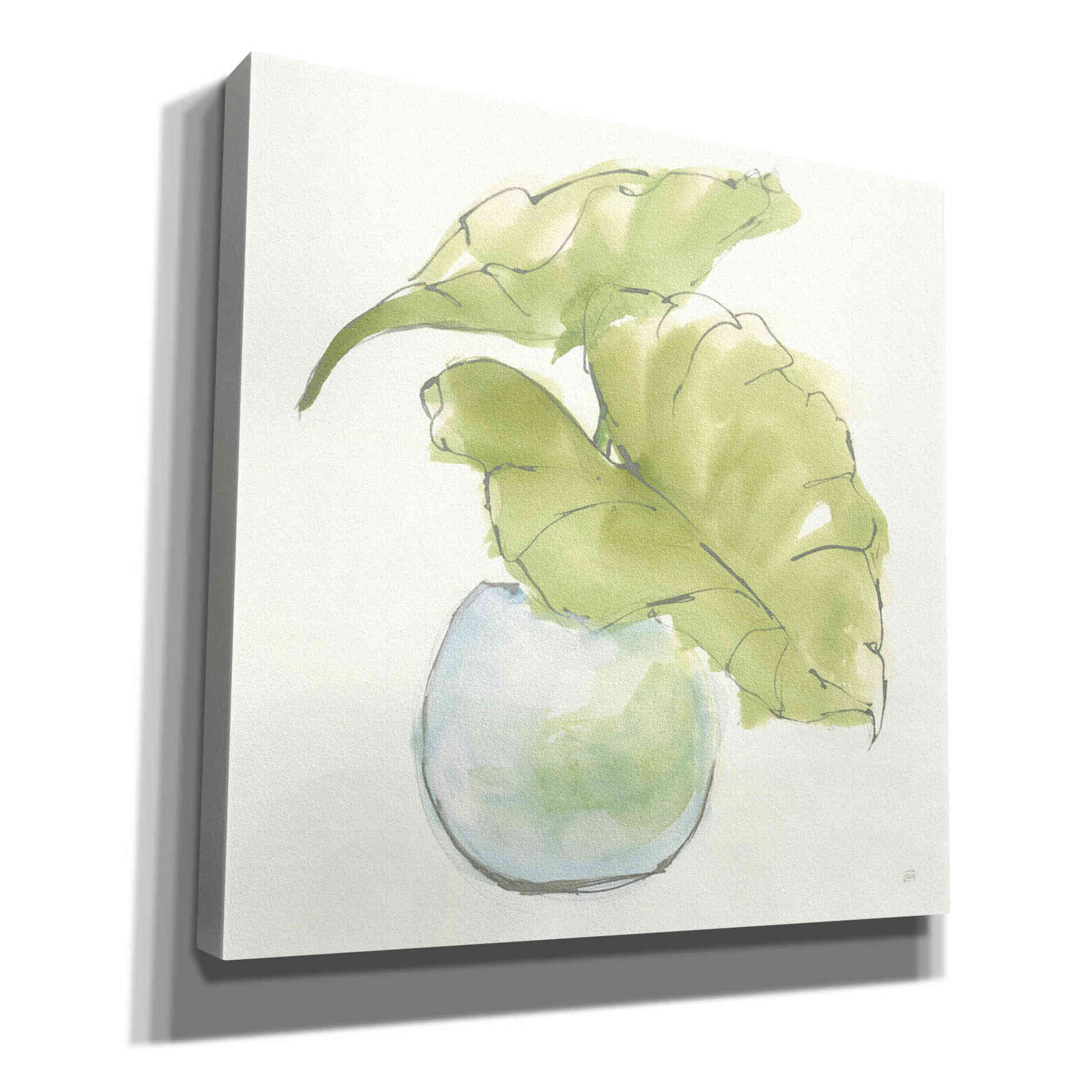 'Plant Big Leaf III' by Chris Paschke, Giclee Canvas Wall Art