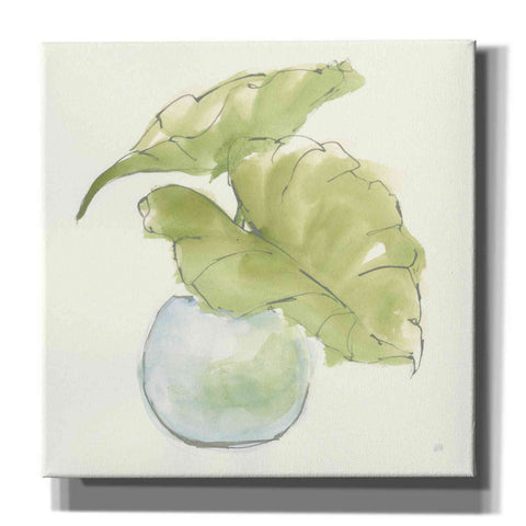 Image of 'Plant Big Leaf III' by Chris Paschke, Giclee Canvas Wall Art