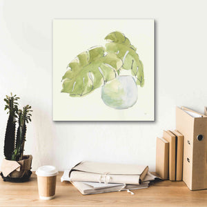 'Plant Big Leaf IV' by Chris Paschke, Giclee Canvas Wall Art,18 x 18