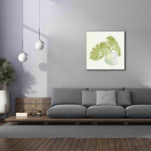 'Plant Big Leaf IV' by Chris Paschke, Giclee Canvas Wall Art,37 x 37