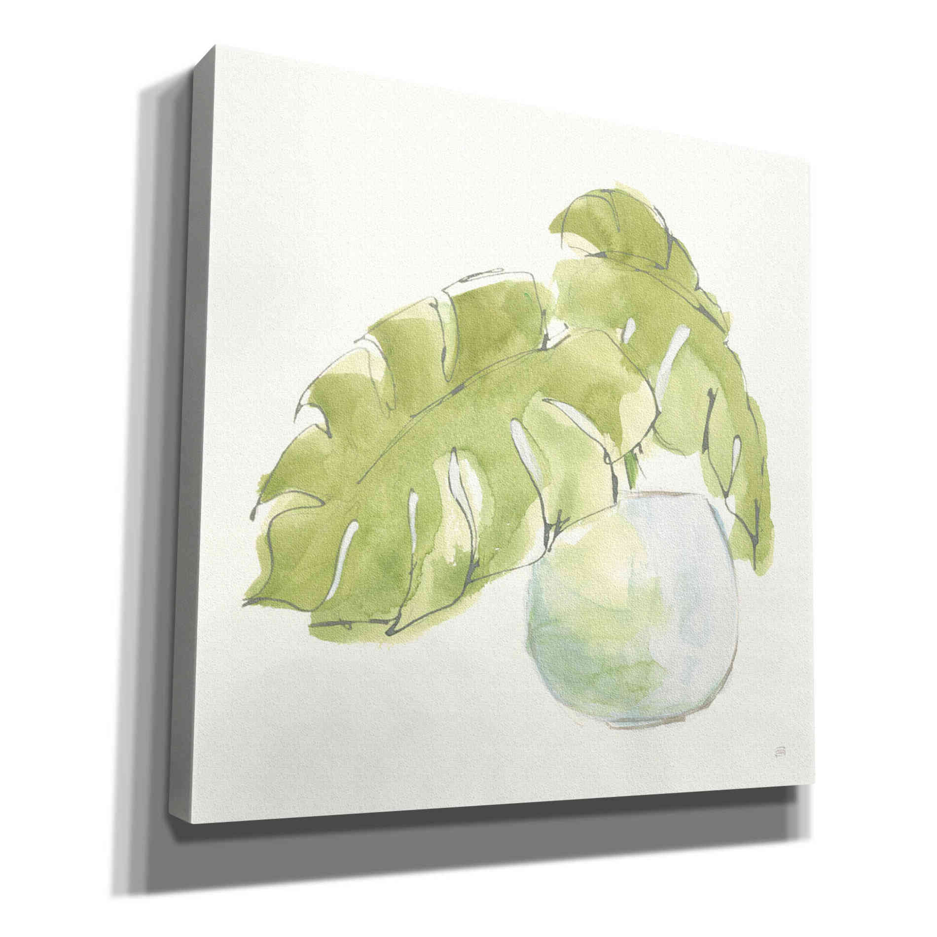 'Plant Big Leaf IV' by Chris Paschke, Giclee Canvas Wall Art