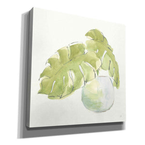 'Plant Big Leaf IV' by Chris Paschke, Giclee Canvas Wall Art