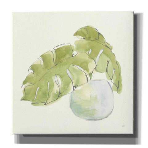 Image of 'Plant Big Leaf IV' by Chris Paschke, Giclee Canvas Wall Art