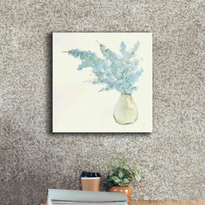 'Plant Eucalyptus I' by Chris Paschke, Giclee Canvas Wall Art,18 x 18