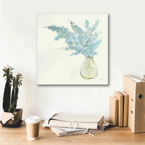 Image of 'Plant Eucalyptus I' by Chris Paschke, Giclee Canvas Wall Art,18 x 18