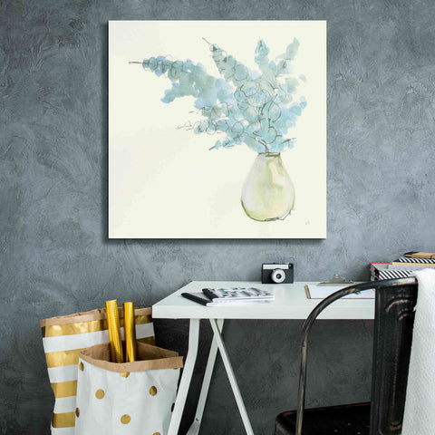 Image of 'Plant Eucalyptus I' by Chris Paschke, Giclee Canvas Wall Art,26 x 26
