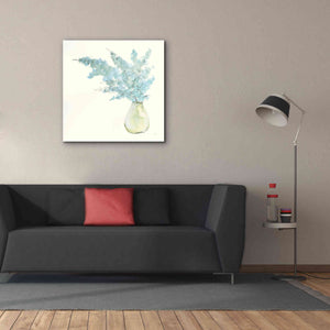 'Plant Eucalyptus I' by Chris Paschke, Giclee Canvas Wall Art,37 x 37