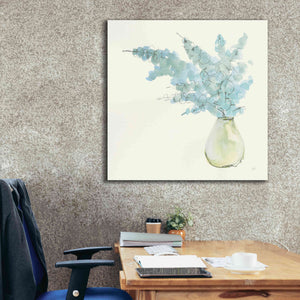 'Plant Eucalyptus I' by Chris Paschke, Giclee Canvas Wall Art,37 x 37