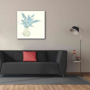 'Plant Eucalyptus II' by Chris Paschke, Giclee Canvas Wall Art,37 x 37
