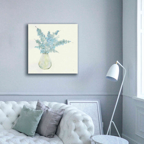 Image of 'Plant Eucalyptus II' by Chris Paschke, Giclee Canvas Wall Art,37 x 37
