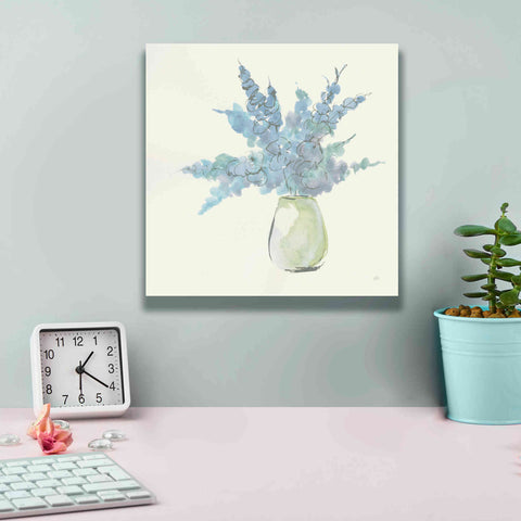 Image of 'Plant Eucalyptus III' by Chris Paschke, Giclee Canvas Wall Art,12 x 12