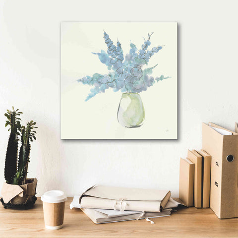 Image of 'Plant Eucalyptus III' by Chris Paschke, Giclee Canvas Wall Art,18 x 18