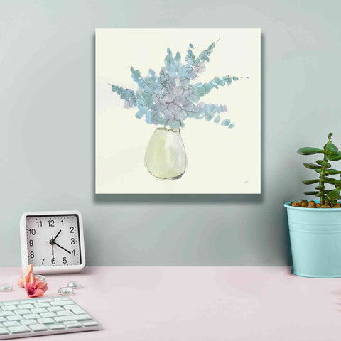 Image of 'Plant Eucalyptus IV' by Chris Paschke, Giclee Canvas Wall Art,12 x 12