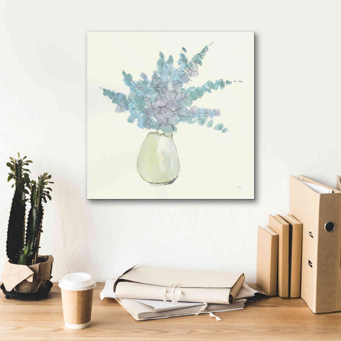 Image of 'Plant Eucalyptus IV' by Chris Paschke, Giclee Canvas Wall Art,18 x 18