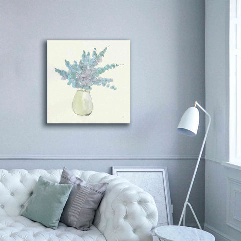 Image of 'Plant Eucalyptus IV' by Chris Paschke, Giclee Canvas Wall Art,37 x 37