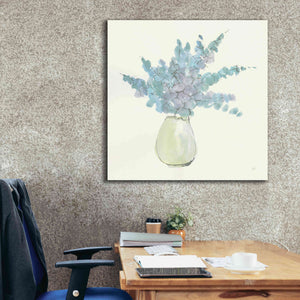 'Plant Eucalyptus IV' by Chris Paschke, Giclee Canvas Wall Art,37 x 37