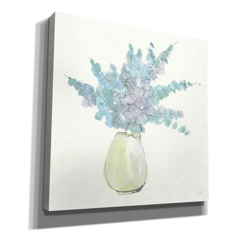 Image of 'Plant Eucalyptus IV' by Chris Paschke, Giclee Canvas Wall Art