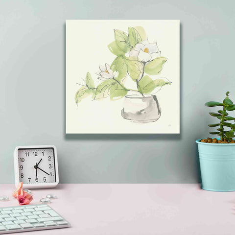Image of 'Plant Magnolia I' by Chris Paschke, Giclee Canvas Wall Art,12 x 12