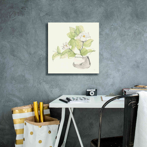 Image of 'Plant Magnolia I' by Chris Paschke, Giclee Canvas Wall Art,18 x 18