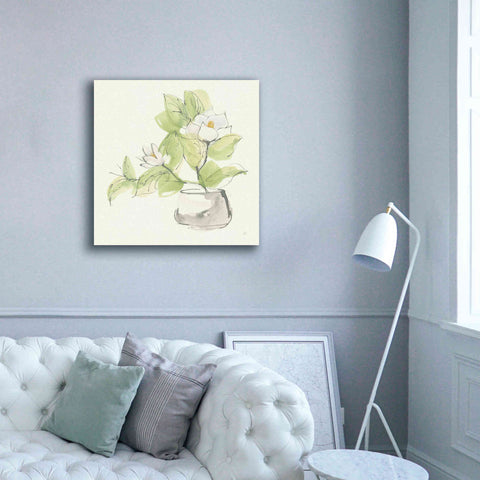 Image of 'Plant Magnolia I' by Chris Paschke, Giclee Canvas Wall Art,37 x 37