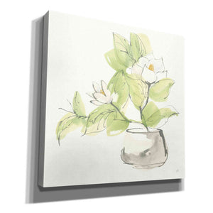'Plant Magnolia I' by Chris Paschke, Giclee Canvas Wall Art