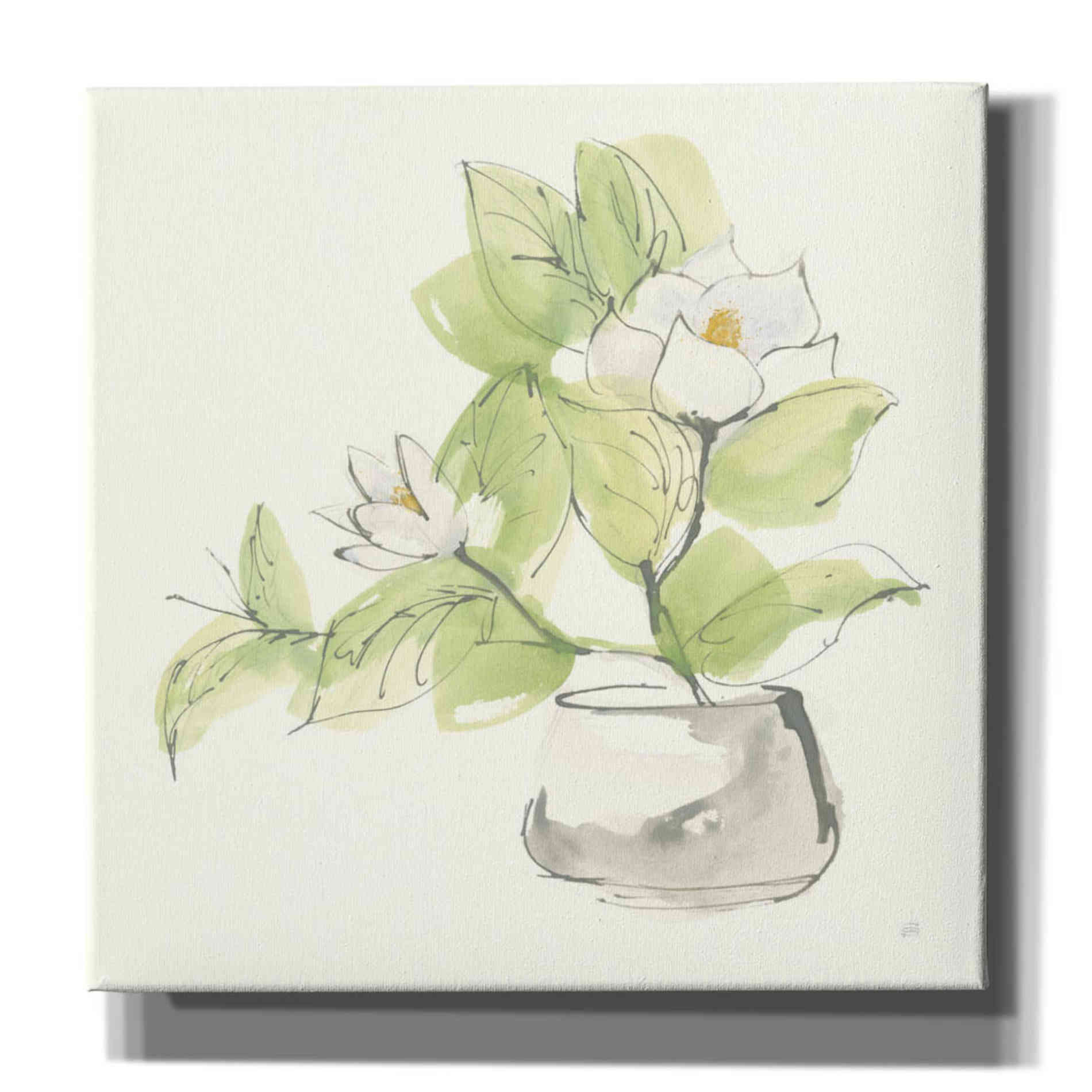 'Plant Magnolia I' by Chris Paschke, Giclee Canvas Wall Art