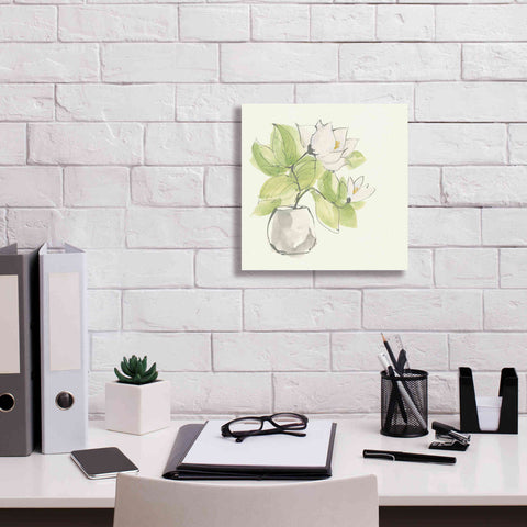 Image of 'Plant Magnolia II' by Chris Paschke, Giclee Canvas Wall Art,12 x 12