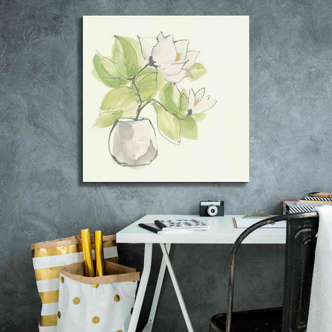 Image of 'Plant Magnolia II' by Chris Paschke, Giclee Canvas Wall Art,26 x 26