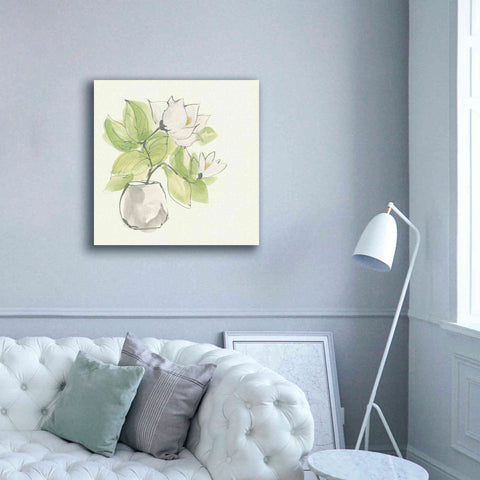 Image of 'Plant Magnolia II' by Chris Paschke, Giclee Canvas Wall Art,37 x 37