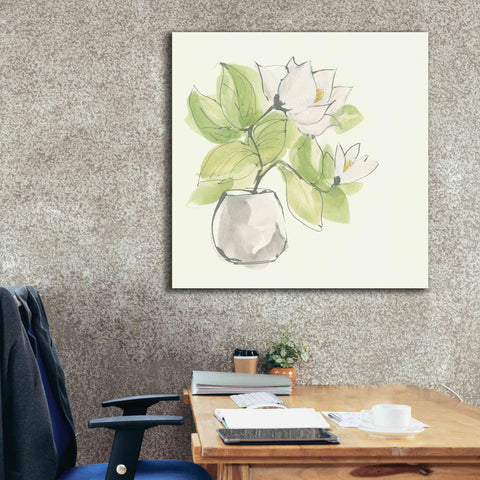 Image of 'Plant Magnolia II' by Chris Paschke, Giclee Canvas Wall Art,37 x 37