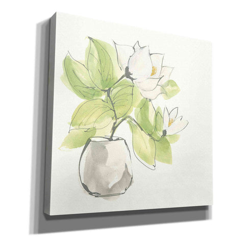 Image of 'Plant Magnolia II' by Chris Paschke, Giclee Canvas Wall Art