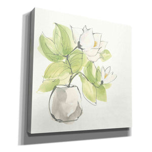 'Plant Magnolia II' by Chris Paschke, Giclee Canvas Wall Art