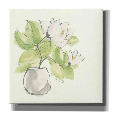 Image of 'Plant Magnolia II' by Chris Paschke, Giclee Canvas Wall Art