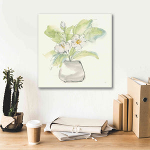 'Plant Poppy II' by Chris Paschke, Giclee Canvas Wall Art,18 x 18