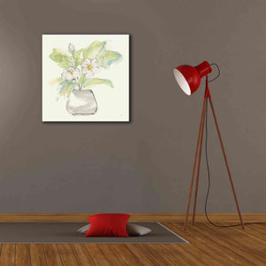 'Plant Poppy II' by Chris Paschke, Giclee Canvas Wall Art,26 x 26