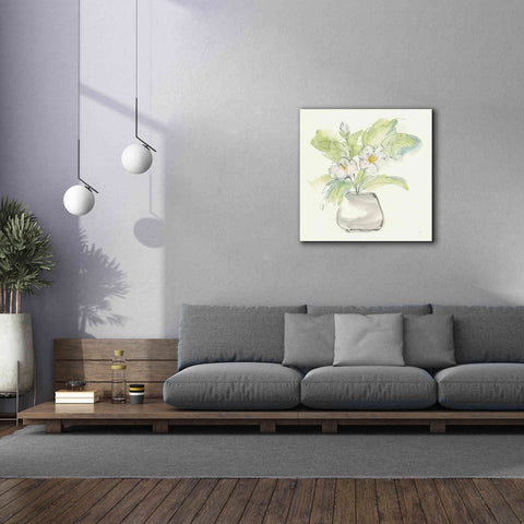 Image of 'Plant Poppy II' by Chris Paschke, Giclee Canvas Wall Art,37 x 37