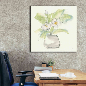 'Plant Poppy II' by Chris Paschke, Giclee Canvas Wall Art,37 x 37