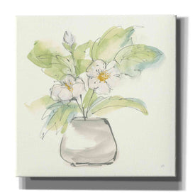 'Plant Poppy II' by Chris Paschke, Giclee Canvas Wall Art