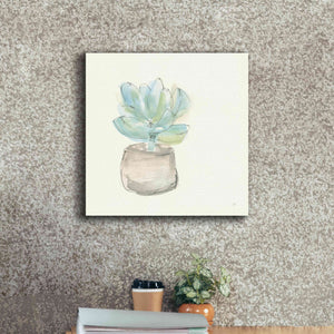 'Succulent I' by Chris Paschke, Giclee Canvas Wall Art,18 x 18