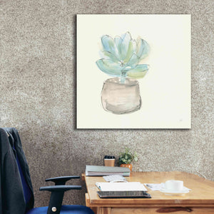 'Succulent I' by Chris Paschke, Giclee Canvas Wall Art,37 x 37
