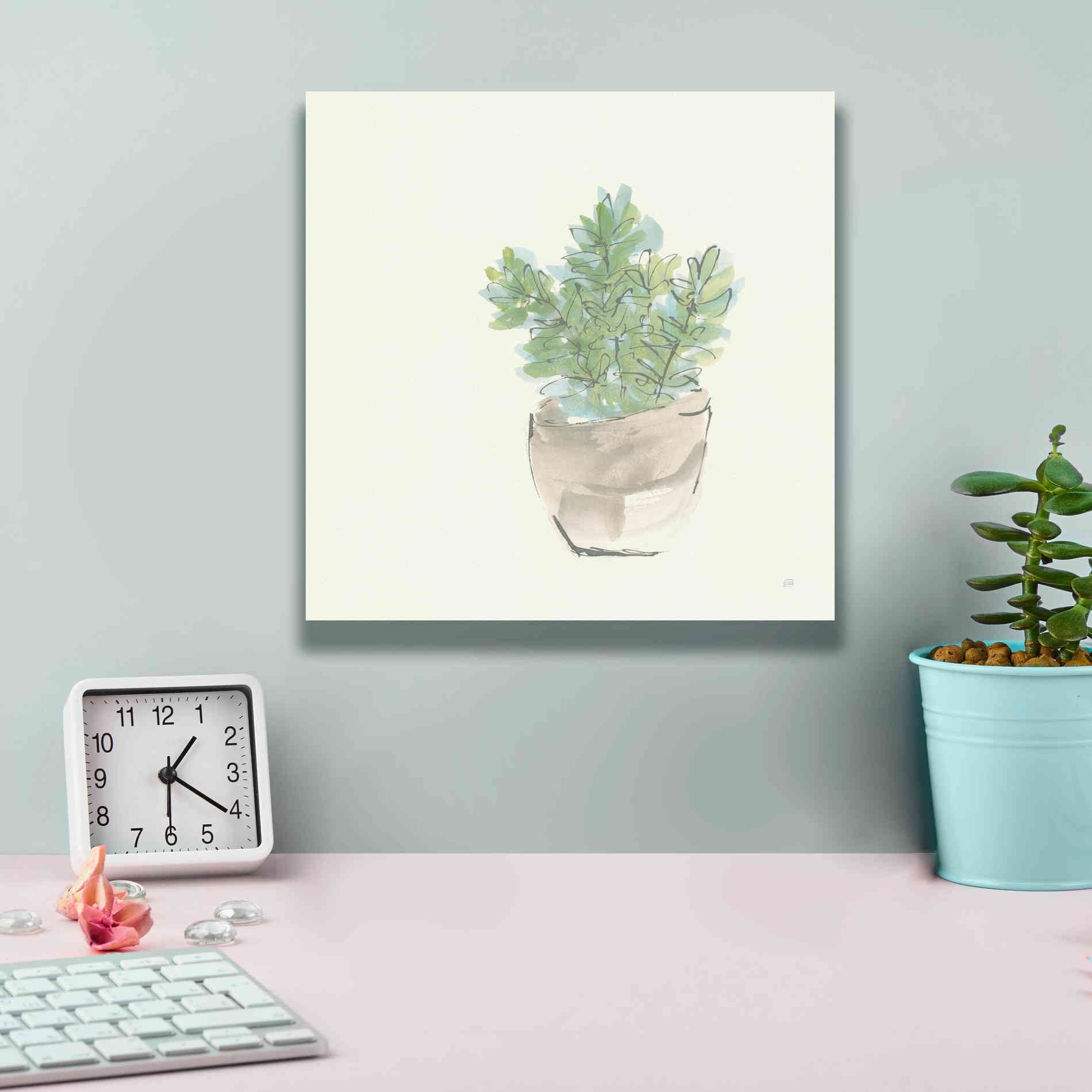 'Succulent II' by Chris Paschke, Giclee Canvas Wall Art,12 x 12